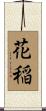 花稲 Scroll