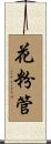 花粉管 Scroll