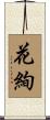 花絢 Scroll