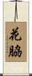 花脇 Scroll