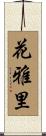 花雅里 Scroll