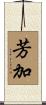 芳加 Scroll