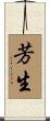 芳生 Scroll