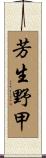 芳生野甲 Scroll