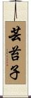 芸苔子 Scroll
