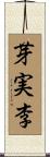 芽実李 Scroll