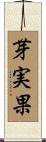 芽実果 Scroll