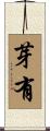 芽有 Scroll