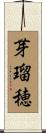芽瑠穂 Scroll