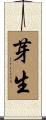 芽生 Scroll