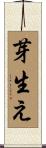 芽生え Scroll