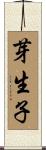 芽生子 Scroll