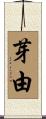 芽由 Scroll