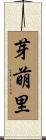 芽萌里 Scroll
