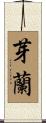 芽蘭 Scroll