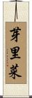 芽里菜 Scroll