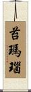 苔瑪瑙 Scroll