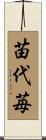 苗代苺 Scroll