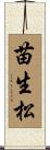 苗生松 Scroll