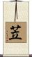 苙 Scroll