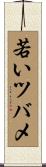 若いツバメ Scroll