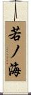 若ノ海 Scroll