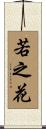 若之花 Scroll
