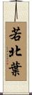 若北葉 Scroll