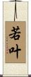 若叶 Scroll