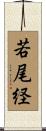 若尾経 Scroll