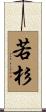 若杉 Scroll