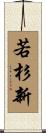 若杉新 Scroll
