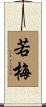 若梅 Scroll