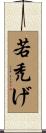 若禿げ Scroll
