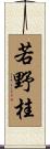 若野桂 Scroll