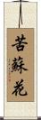 苦蘇花 Scroll