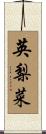 英梨菜 Scroll