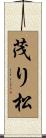 茂り松 Scroll