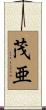 茂亜 Scroll