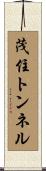 茂住トンネル Scroll