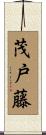 茂戸藤 Scroll