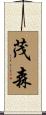 茂森 Scroll