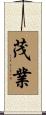 茂業 Scroll