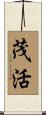 茂活 Scroll