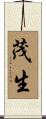 茂生 Scroll