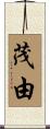 茂由 Scroll