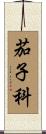 茄子科 Scroll