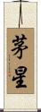 茅星 Scroll