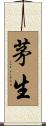 茅生 Scroll