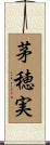 茅穂実 Scroll